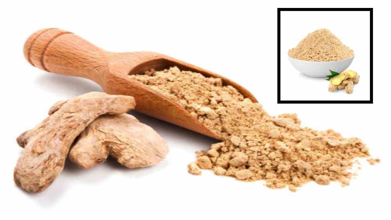 Ginger Powder : చలికాలంలో అజీర్ణ సమస్యలను తొలగించి జీర్ణ శక్తిని మెరుగుపరిచే శొంఠి పొడి! Ginger Powder : చలికాలంలో అజీర్ణ సమస్యలను తొలగించి జీర్ణ శక్తిని మెరుగుపరిచే శొంఠి పొడి!