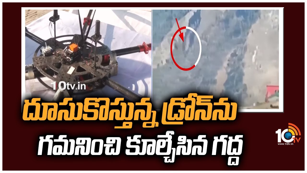 దూసుకొస్తున్న డ్రోన్‌ను గమనించి కూల్చేసిన గద్ద