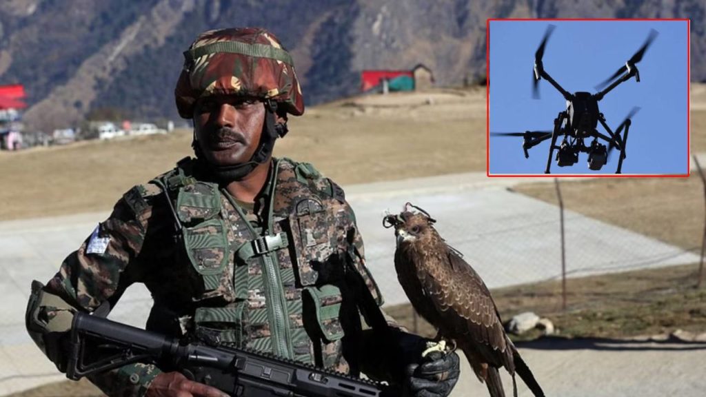 Indian Army is training eagles to fight Pakistani drones