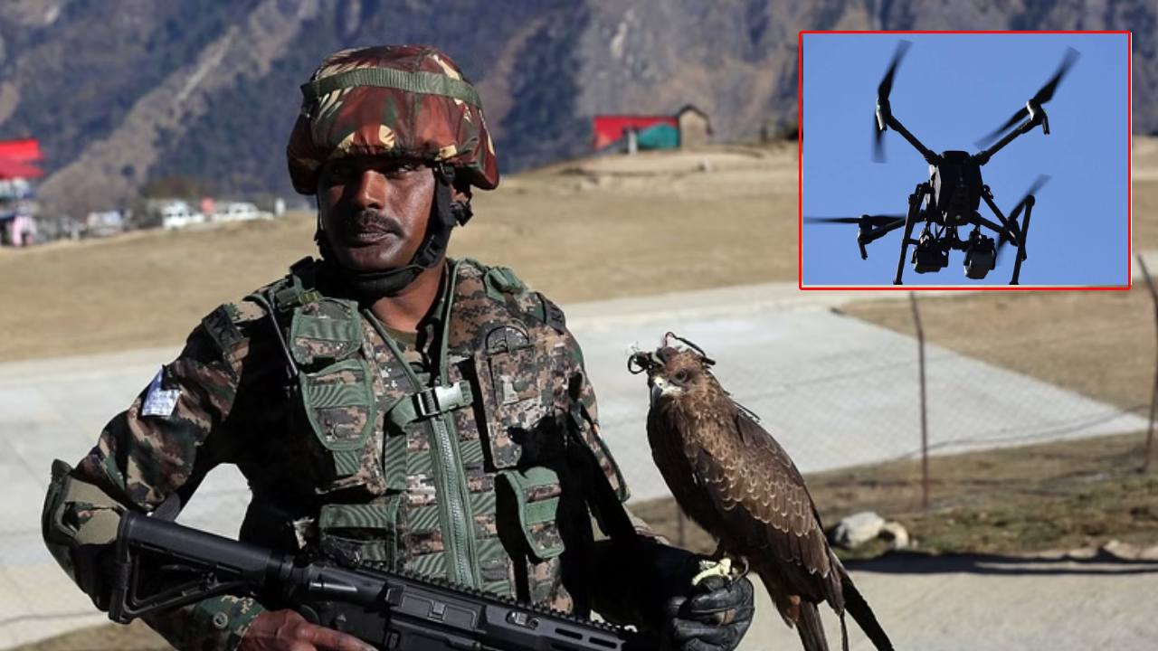 Indian Army..Eagles : డ్రోన్లను కూల్చివేయటానికి గరుడపక్షులకు భారత ఆర్మీ ట్రైనింగ్ Indian Army..Eagles : డ్రోన్లను కూల్చివేయటానికి గరుడపక్షులకు భారత ఆర్మీ ట్రైనింగ్