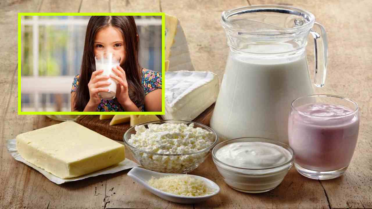 Milk Products In Winter : చలికాలంలో పిల్లలు పాలు, పాలపదార్ధాలకు దూరంగా ఉండటమే మంచిదా? Milk Products In Winter : చలికాలంలో పిల్లలు పాలు, పాలపదార్ధాలకు దూరంగా ఉండటమే మంచిదా?