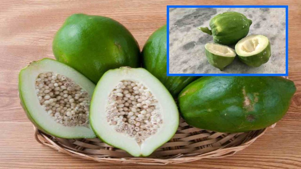 Is papaya great for improving digestion?