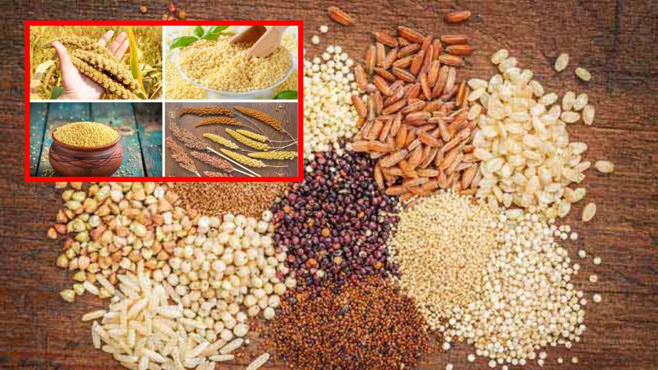 Millets : చెడు కొలెస్ట్రాల్ ను తగ్గించి గుండె ఆరోగ్యాన్ని మెరుగు పరిచే మిల్లెట్స్! Millets : చెడు కొలెస్ట్రాల్ ను తగ్గించి గుండె ఆరోగ్యాన్ని మెరుగు పరిచే మిల్లెట్స్!