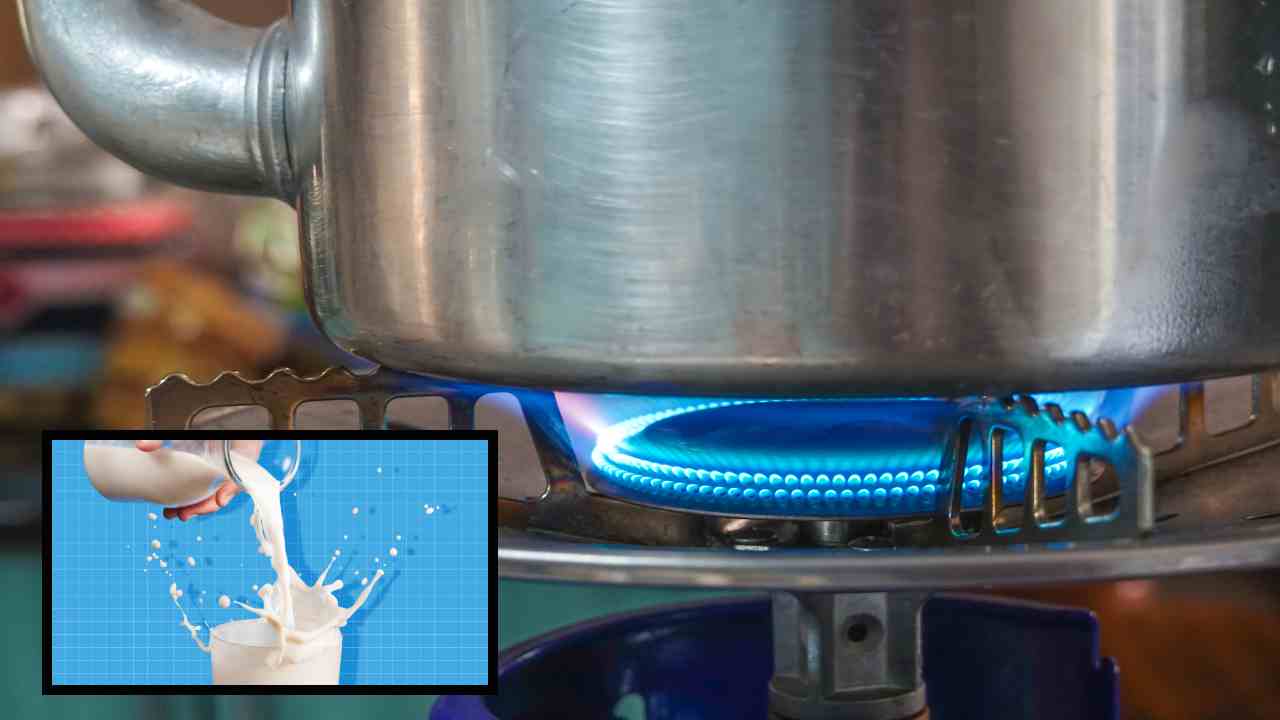 Milk : పాలు ఎక్కువ సమయం నిల్వ ఉండటంలేదా! అసలు కారణాలు తెలిస్తే ! Milk : పాలు ఎక్కువ సమయం నిల్వ ఉండటంలేదా! అసలు కారణాలు తెలిస్తే !