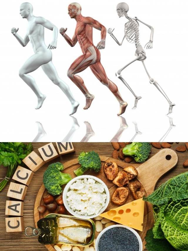 >ఎముకల బలం కోసం ఆహారాలు