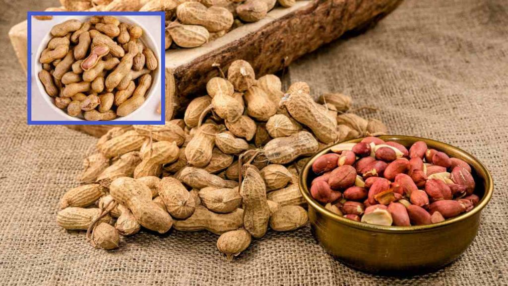 Peanuts