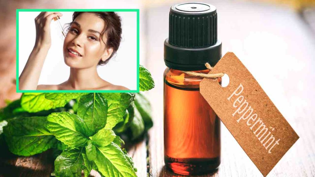 Peppermint oil keeps the skin fresh in winter!