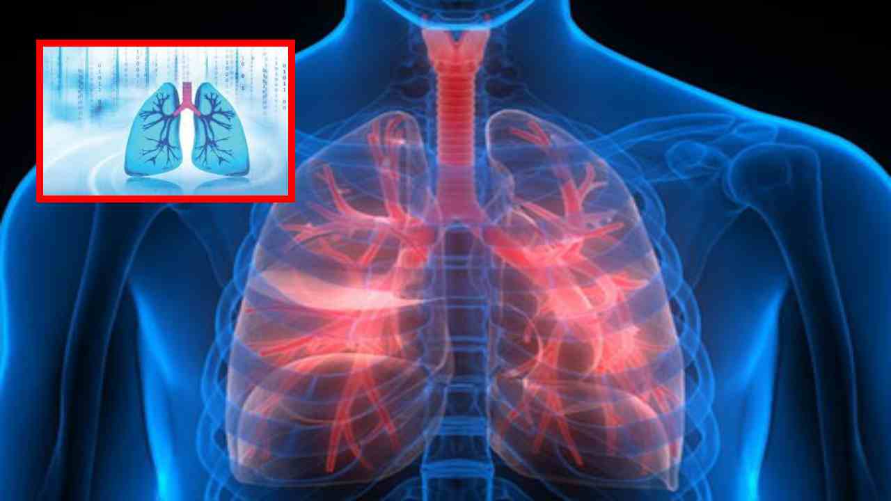 Respiratory Problems : చలికాలంలో చల్లిటి పొడిగాలి, వాతావరణ కాలుష్యంతో శ్వాసకోశ సమస్యలు! అప్రమత్తత అవసరమే? Respiratory Problems : చలికాలంలో చల్లిటి పొడిగాలి, వాతావరణ కాలుష్యంతో శ్వాసకోశ సమస్యలు! అప్రమత్తత అవసరమే?