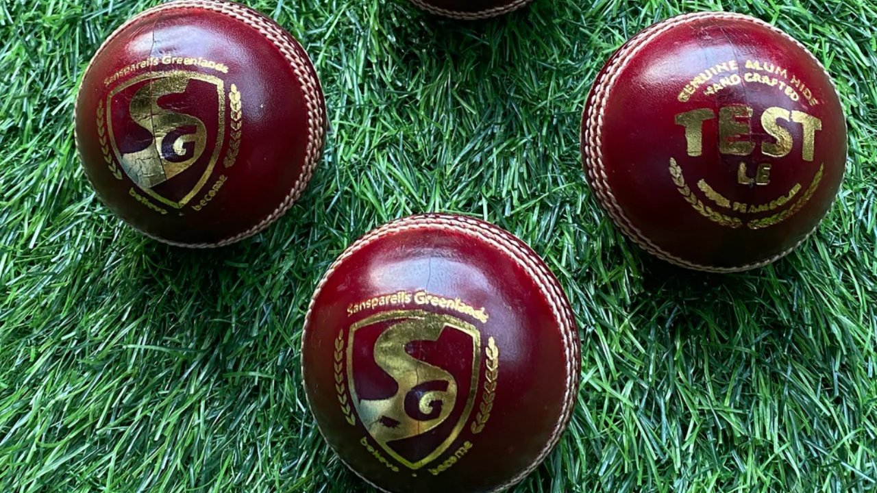 SG Cricket Ball