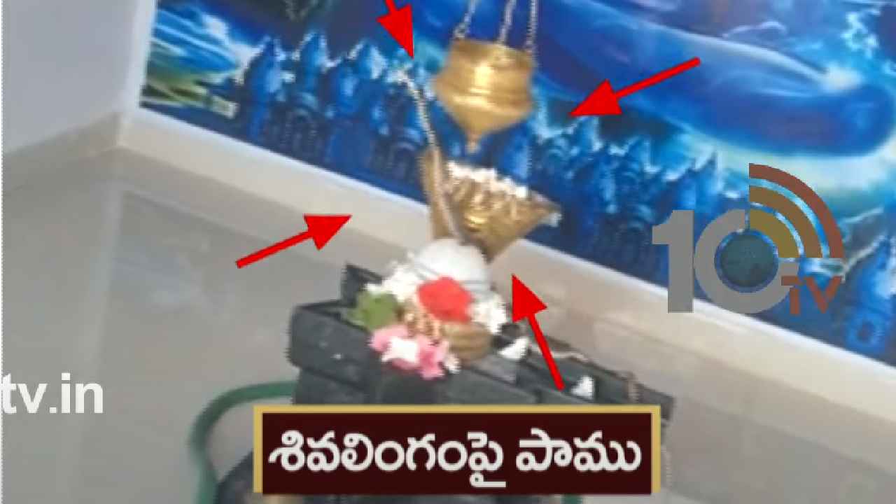Snake On Shiva Lingam : ఆలయంలో వింత.. శివలింగం చుట్టూ పాము ప్రదక్షిణలు, గర్భగుడిలో గంటకుపైగా శివలింగంపైనే.. Snake On Shiva Lingam : ఆలయంలో వింత.. శివలింగం చుట్టూ పాము ప్రదక్షిణలు, గర్భగుడిలో గంటకుపైగా శివలింగంపైనే..