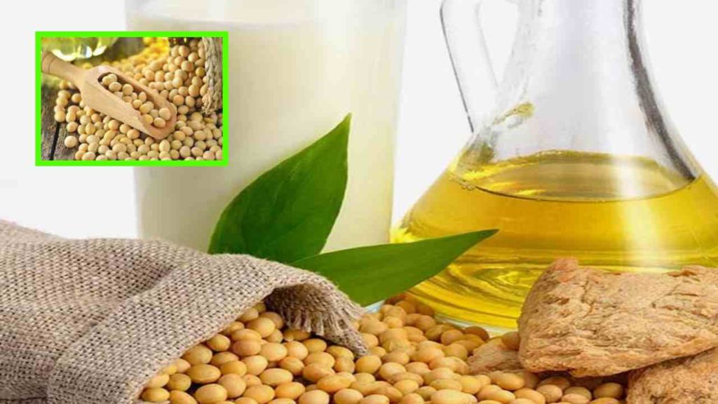 Soybeans that make hair black and thick!