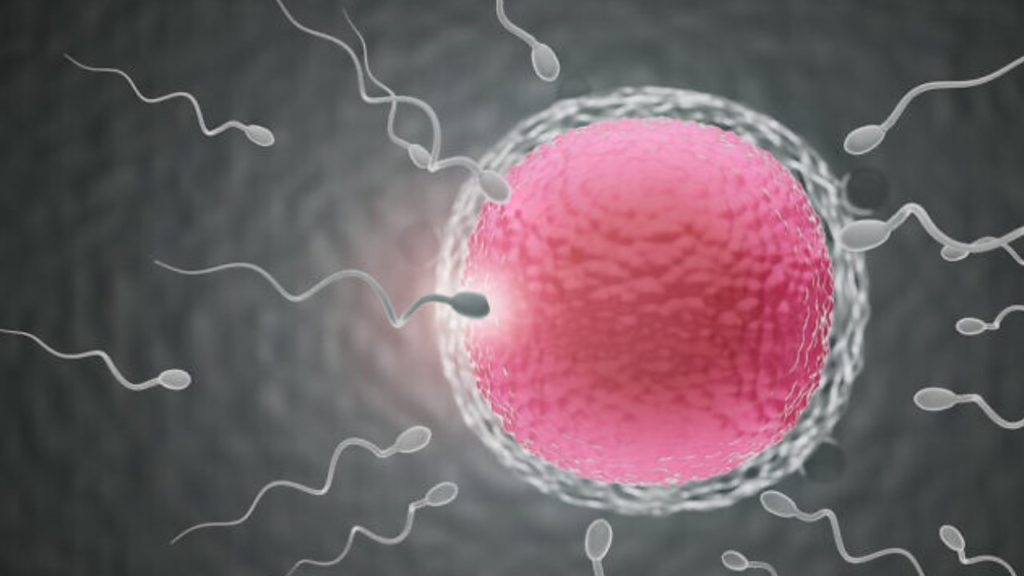 Sperm count