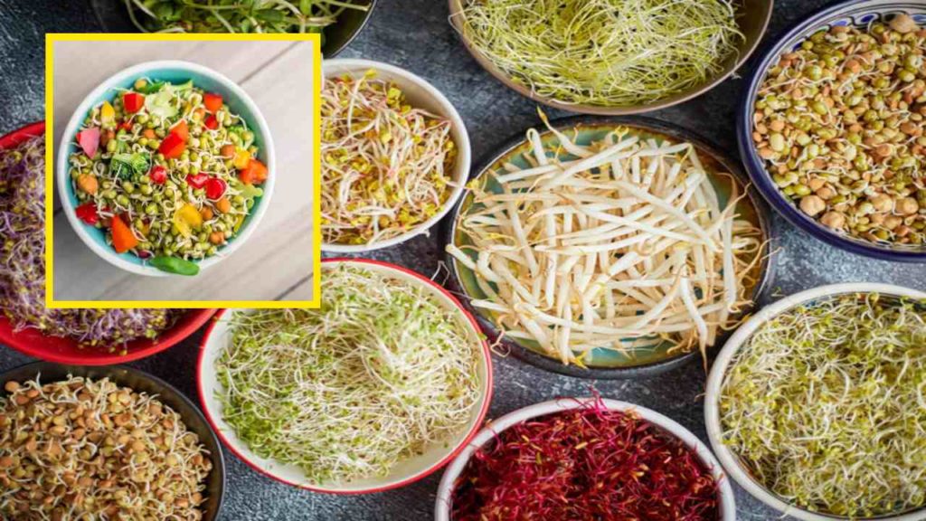 Sprouts