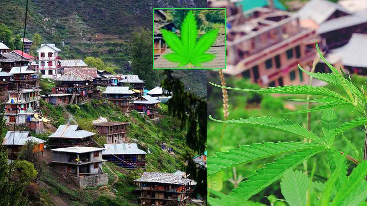 Strange Village : ఆ గ్రామానికి ప్రత్యేక ప్రధాని, రాష్ట్రపతి, ప్రత్యేక కోర్టు ..! శివుడిని పూజించే గ్రామస్తులు గంజాయినే ప్రసాదంగా పెట్టే వింత సంప్రదాయం..!! Strange Village : ఆ గ్రామానికి ప్రత్యేక ప్రధాని, రాష్ట్రపతి, ప్రత్యేక కోర్టు ..! శివుడిని పూజించే గ్రామస్తులు గంజాయినే ప్రసాదంగా పెట్టే వింత సంప్రదాయం..!!