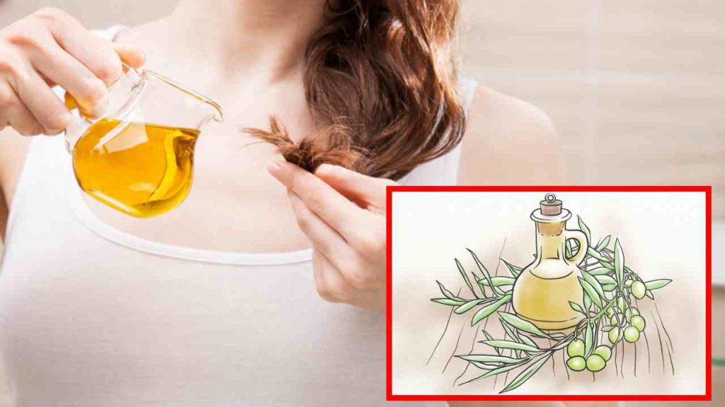 Suffering from hair problems? The solution with olive oil!
