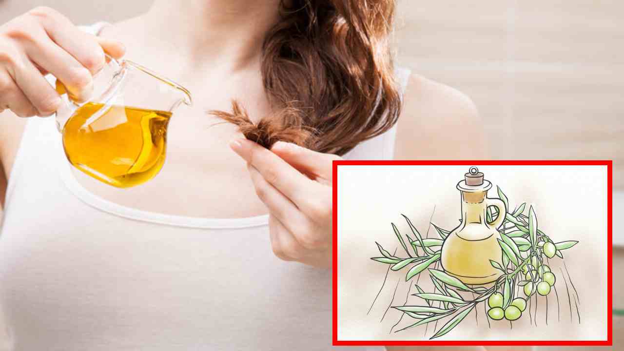 Hair Problems : జుట్టు సమస్యలతో బాధపడుతున్నారా? ఆలివ్ అయిల్ తో పరిష్కారం! Hair Problems : జుట్టు సమస్యలతో బాధపడుతున్నారా? ఆలివ్ అయిల్ తో పరిష్కారం!