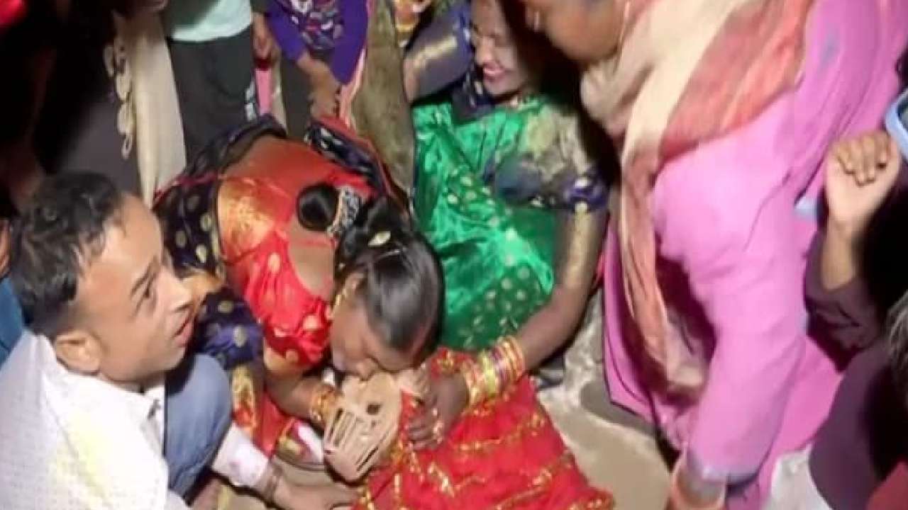 Sweety weds Sheru: స్వీటీ పెళ్లి షేరూతో.. సంప్రదాయబద్ధంగా పెంపుడు కుక్కల పెళ్లి Sweety weds Sheru: స్వీటీ పెళ్లి షేరూతో.. సంప్రదాయబద్ధంగా పెంపుడు కుక్కల పెళ్లి
