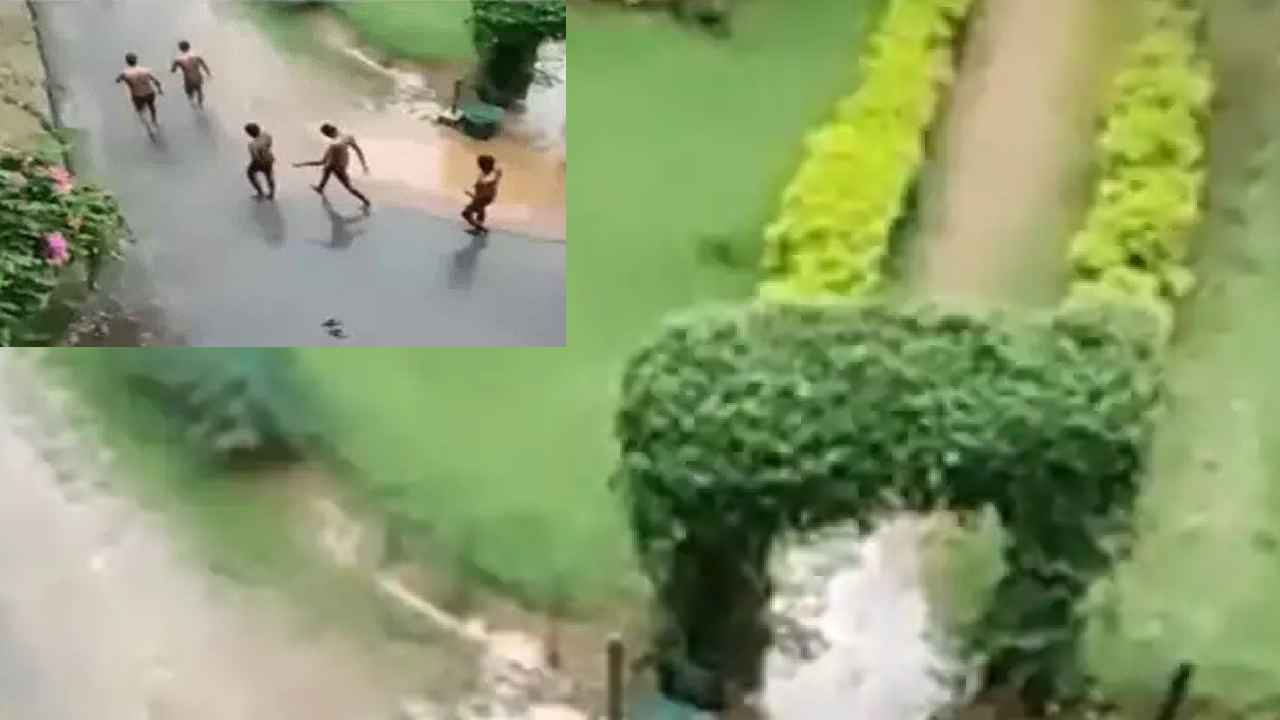Tamil Nadu Ragging : కాలేజీలో బట్టలూడదీసి, కర్రలు, బెల్టులతో కొడుతూ ఎంజాయ్.. వామ్మో, ఇదేం ర్యాగింగ్రా నాయనా? Tamil Nadu Ragging : కాలేజీలో బట్టలూడదీసి, కర్రలు, బెల్టులతో కొడుతూ ఎంజాయ్.. వామ్మో, ఇదేం ర్యాగింగ్రా నాయనా?