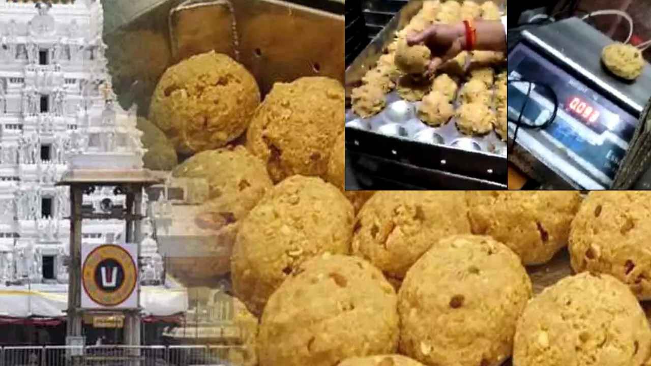 Tirumala Laddu Prasadam Weight : తిరుమల లడ్డూ బరువు వీడియో వైరల్.. క్లారిటీ ఇచ్చిన అధికారులు Tirumala Laddu Prasadam Weight : తిరుమల లడ్డూ బరువు వీడియో వైరల్.. క్లారిటీ ఇచ్చిన అధికారులు