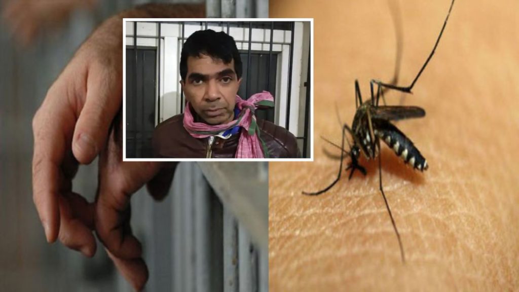 Undertrail gangster brings bottle filled with dead mosquitoes to court in Maharashtra