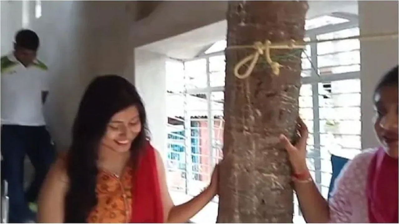 Coconut Tree: నట్టింట్లో చెట్టును కదలించింకుండా రెండస్తుల నిర్మాణం.. తాత జ్ఞాపకాలను కాపాడటం కోసం కుటుంబం విశిష్ట ప్రయోగం Coconut Tree: నట్టింట్లో చెట్టును కదలించింకుండా రెండస్తుల నిర్మాణం.. తాత జ్ఞాపకాలను కాపాడటం కోసం కుటుంబం విశిష్ట ప్రయోగం