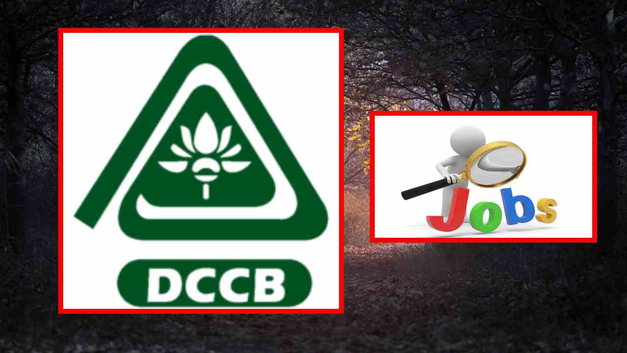 DCCB Eluru Recruitment : ఏలూరు జిల్లా సహకార కేంద్ర బ్యాంకు లిమిటెడ్ లో ఉద్యోగాల భర్తీ DCCB Eluru Recruitment : ఏలూరు జిల్లా సహకార కేంద్ర బ్యాంకు లిమిటెడ్ లో ఉద్యోగాల భర్తీ