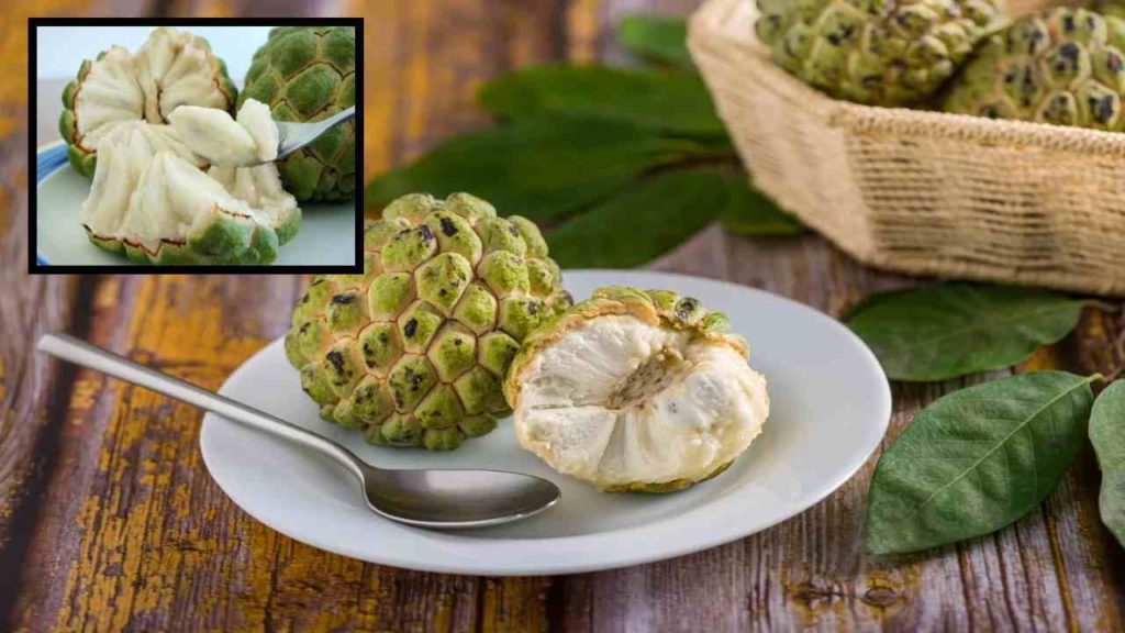 What is custard apple and why must you add it to your daily diet!