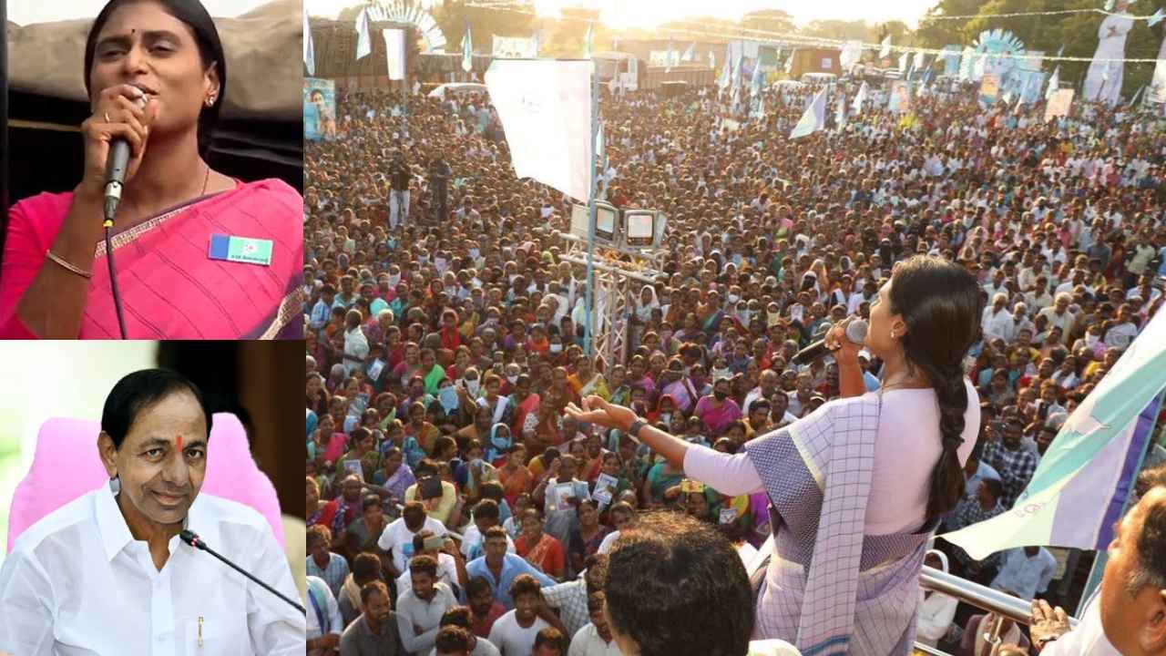 YS Sharmila : కోట్లు ఇచ్చి.. మునుగోడులో ఓటర్లను టీఆర్ఎస్ కొనుగోలు చేసింది-షర్మిల YS Sharmila : కోట్లు ఇచ్చి.. మునుగోడులో ఓటర్లను టీఆర్ఎస్ కొనుగోలు చేసింది-షర్మిల