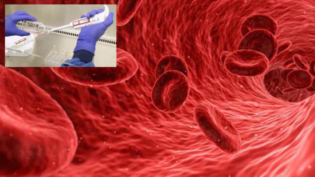 blood cells grown in laboratory