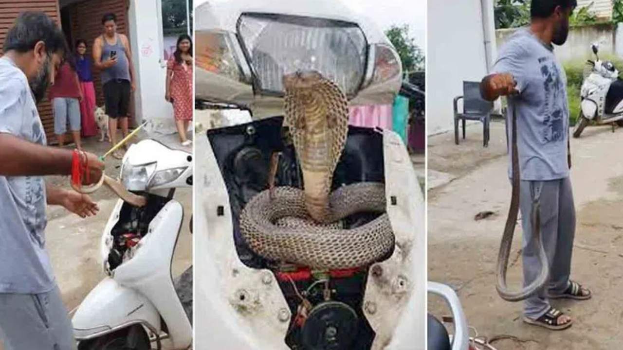 Cobra Inside Scooter : బుసలుకొడుతున్న నాగుపామును చేత్తో పట్టుకున్న వ్యక్తి Cobra Inside Scooter : బుసలుకొడుతున్న నాగుపామును చేత్తో పట్టుకున్న వ్యక్తి