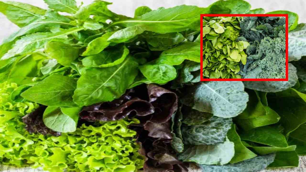 Leafy Greens : ఆరోగ్యానికి ఆకు కూరలు అవసరమే! పోషకాలతో కూడిన వీటిని రోజువారిగా తీసుకుంటే? Leafy Greens : ఆరోగ్యానికి ఆకు కూరలు అవసరమే! పోషకాలతో కూడిన వీటిని రోజువారిగా తీసుకుంటే?