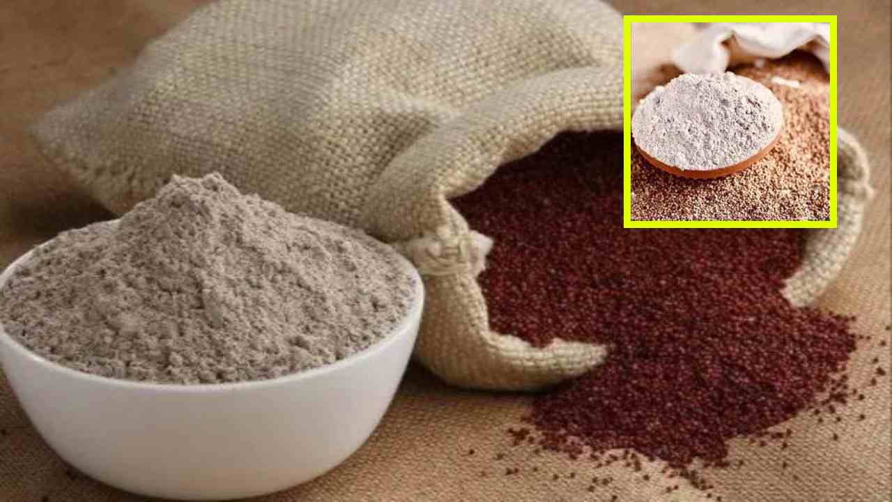 Ragi Flour : చెడు కొలెస్ట్రాల్ ను తగ్గించి బరువును నియంత్రణలో ఉంచే రాగిపిండి! Ragi Flour : చెడు కొలెస్ట్రాల్ ను తగ్గించి బరువును నియంత్రణలో ఉంచే రాగిపిండి!