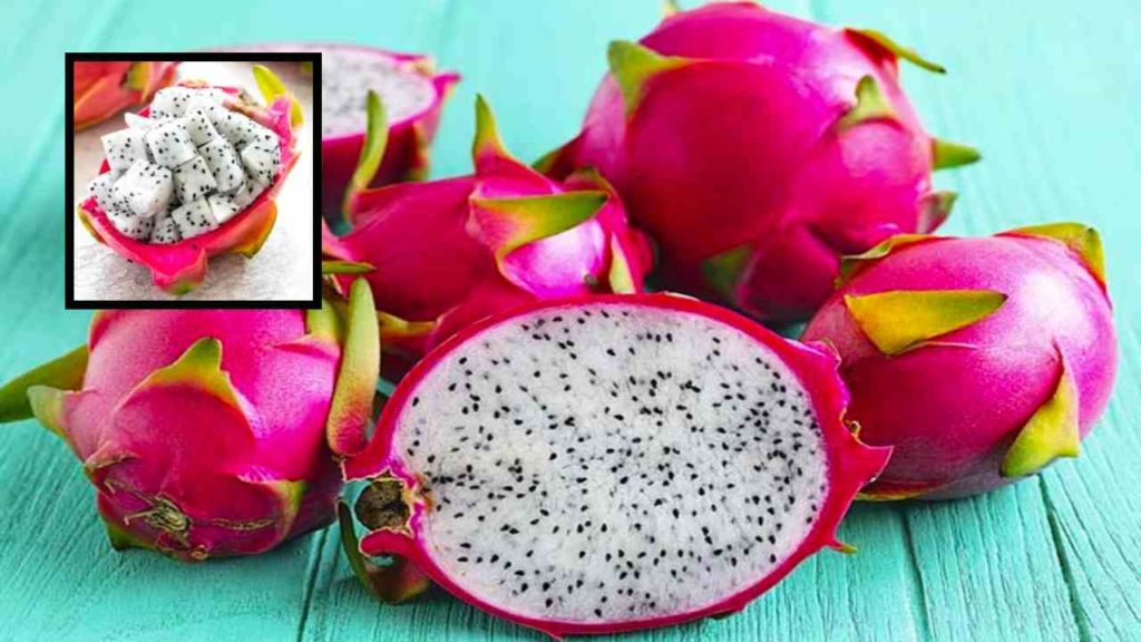 Along with chronic diseases, dragon fruit prevents old age!