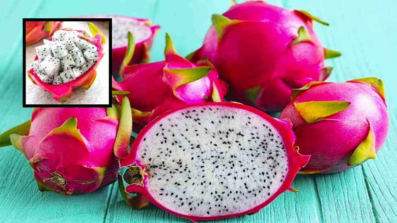 Dragon Fruit : దీర్ఘకాలిక వ్యాధులతోపాటు, వృద్ధాప్యాన్ని దరిచేరకుండా చేసే డ్రాగన్ ఫ్రూట్ ! Dragon Fruit : దీర్ఘకాలిక వ్యాధులతోపాటు, వృద్ధాప్యాన్ని దరిచేరకుండా చేసే డ్రాగన్ ఫ్రూట్ !