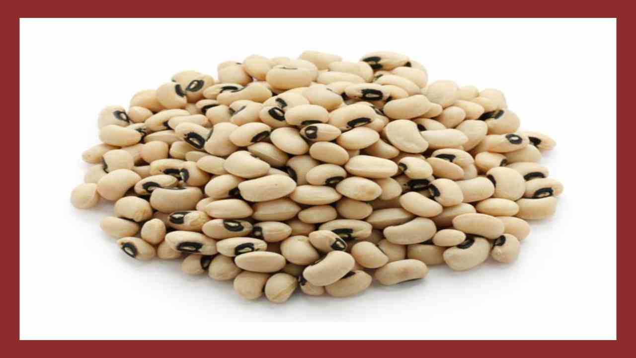 Reducing Cholesterol Levels : రక్తంలో కొలెస్ట్రాల్ స్ధాయిలను తగ్గించటంతోపాటు, శరీరం నుండి హానికరమైన టాక్సిన్స్ ను తొలగించే అలసందలు! Reducing Cholesterol Levels : రక్తంలో కొలెస్ట్రాల్ స్ధాయిలను తగ్గించటంతోపాటు, శరీరం నుండి హానికరమైన టాక్సిన్స్ ను తొలగించే అలసందలు!