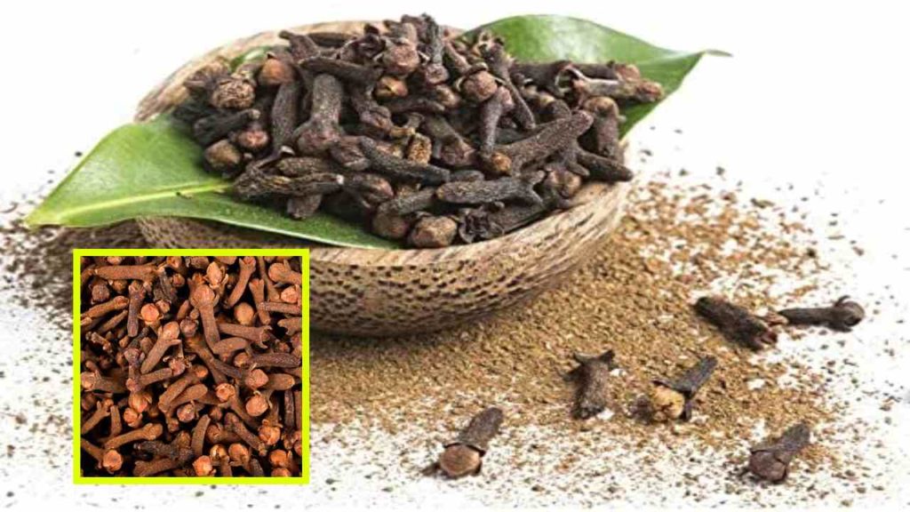 Apart from melting fat, cloves flush out toxins and impurities from the body!