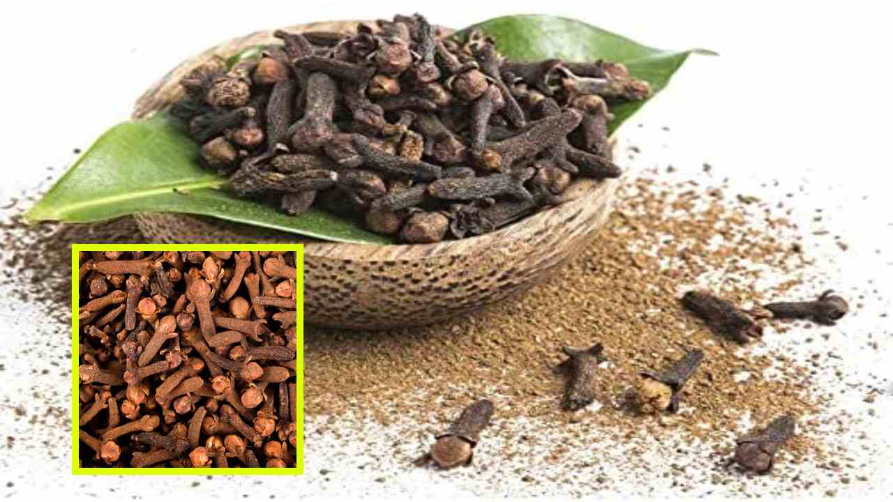 Cloves : కొవ్వును కరిగించడంతోపాటు, శరీరంలోని విష పదార్థాలను, మలినాలను బయటకు పంపించే లవంగాలు! Cloves : కొవ్వును కరిగించడంతోపాటు, శరీరంలోని విష పదార్థాలను, మలినాలను బయటకు పంపించే లవంగాలు!