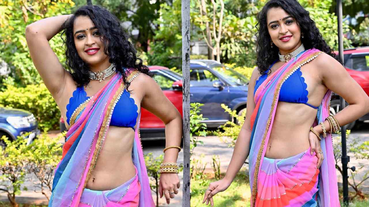 Apsara Rani : చీరలో కూడా చెమటలు పట్టిస్తున్న అప్సర..