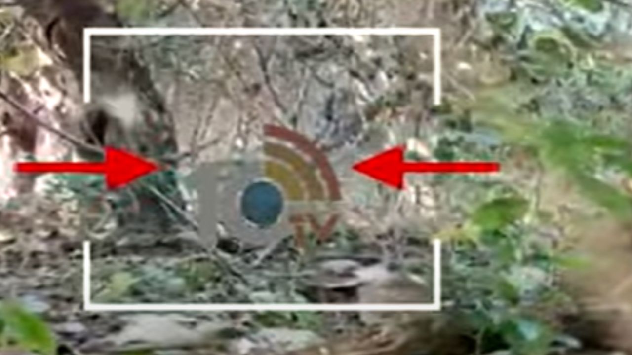 Security Forces Defuse Bomb : ఛత్తీస్ ఘడ్ లో జవాన్లకు తప్పిన ప్రమాదం.. మావోయిస్టులు అమర్చిన బాంబు నిర్వీర్యం Security Forces Defuse Bomb : ఛత్తీస్ ఘడ్ లో జవాన్లకు తప్పిన ప్రమాదం.. మావోయిస్టులు అమర్చిన బాంబు నిర్వీర్యం