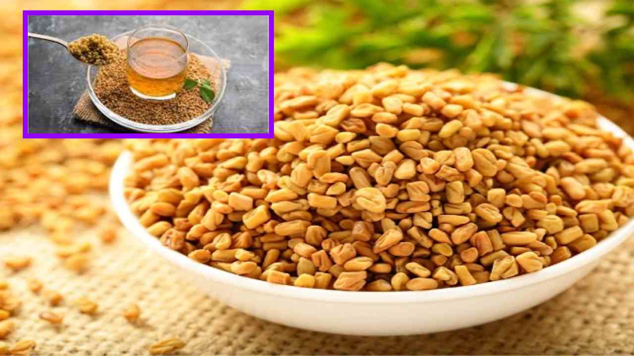 Benefits Of Fenugreek : పొట్టను కరిగించటంతోపాటు మెంతులతో మీకు తెలియని మరెన్నో ప్రయోజనాలు! Benefits Of Fenugreek : పొట్టను కరిగించటంతోపాటు మెంతులతో మీకు తెలియని మరెన్నో ప్రయోజనాలు!