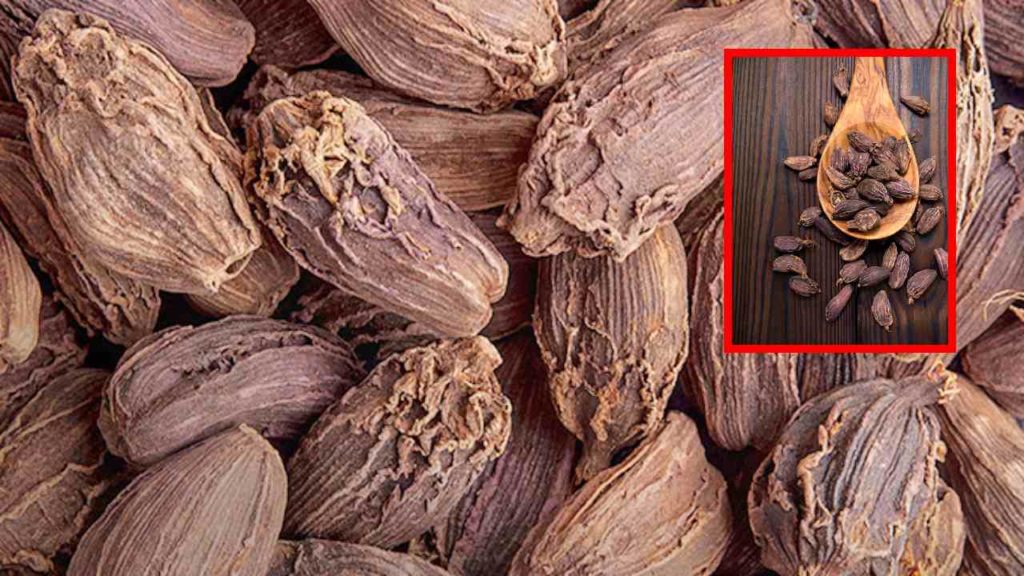 Black Cardamom