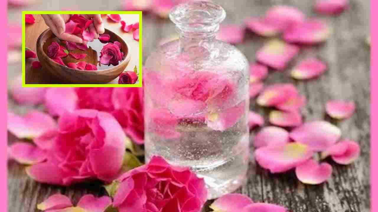Rose Water : రోజ్ వాటర్ తో చర్మానికే కాదు, ఆరోగ్యానికి అనేక ప్రయోజనాలు అందుతాయి తెలుసా? Rose Water : రోజ్ వాటర్ తో చర్మానికే కాదు, ఆరోగ్యానికి అనేక ప్రయోజనాలు అందుతాయి తెలుసా?
