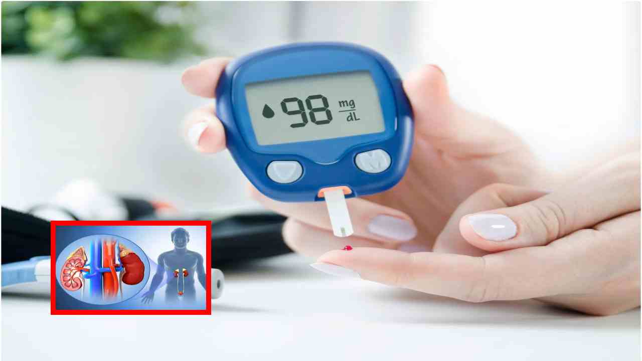 Diabetes : మధుమేహం సమస్య గుండె,బీపీ, మూత్రపిండాల సమస్యలకు దారితీస్తుందా? Diabetes : మధుమేహం సమస్య గుండె,బీపీ, మూత్రపిండాల సమస్యలకు దారితీస్తుందా?