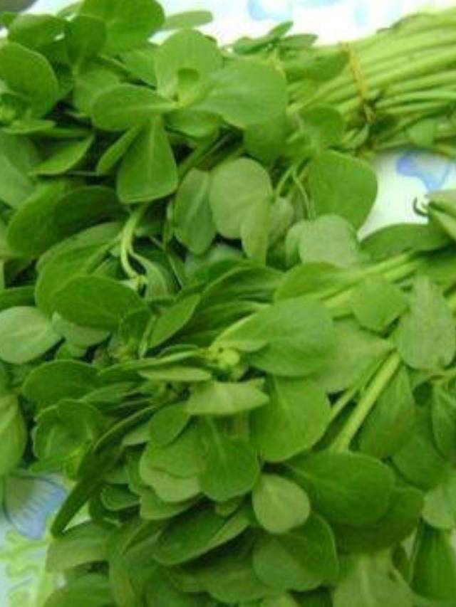 మెంతి కూరతో ఆరోగ్యం .. 10TV Telugu Fenugreek leaves health benefits