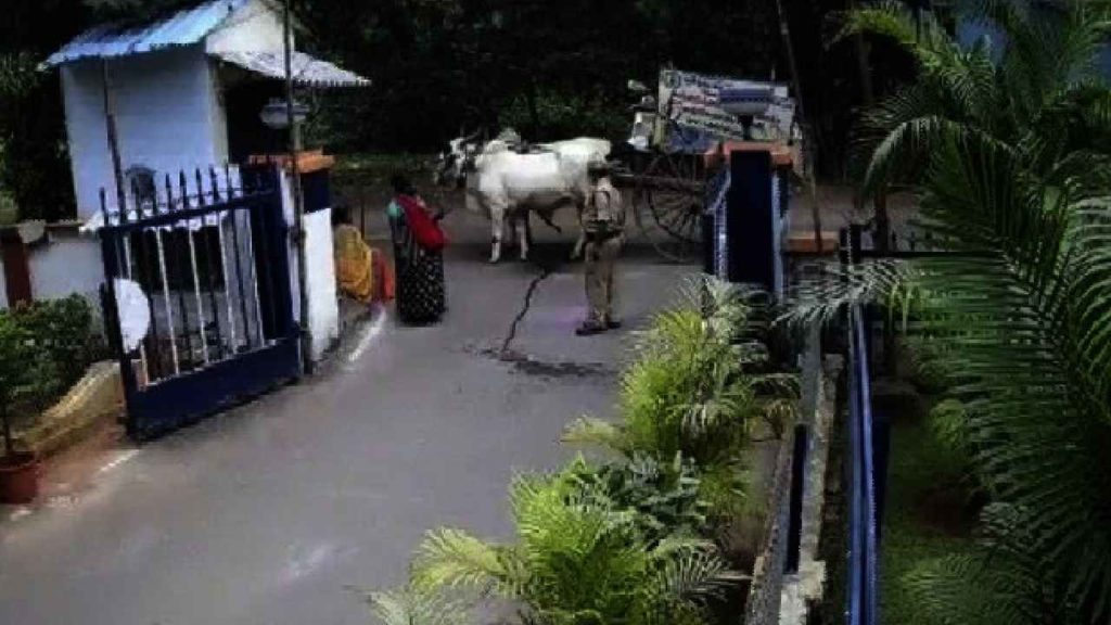 Fined For Ox Urinates