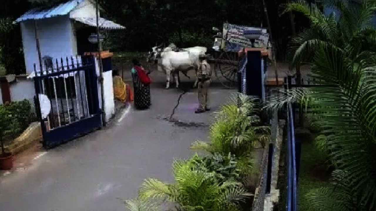 Fined For Ox Urinates : ఇదేందయ్యా ఇది.. ఆఫీసు ముందు ఎద్దు మూత్రవిసర్జన చేసిందని రైతుకి జరిమానా Fined For Ox Urinates : ఇదేందయ్యా ఇది.. ఆఫీసు ముందు ఎద్దు మూత్రవిసర్జన చేసిందని రైతుకి జరిమానా