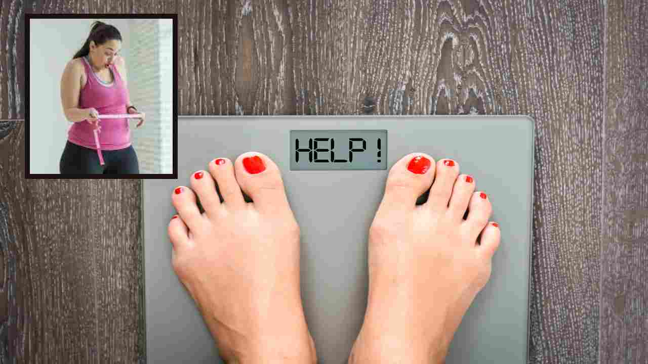 Gaining Weight : ఈ మూడు సూత్రాలు పాటిస్తే బరువు పెరగటమన్న సమస్యే ఉండదు తెలుసా? Gaining Weight : ఈ మూడు సూత్రాలు పాటిస్తే బరువు పెరగటమన్న సమస్యే ఉండదు తెలుసా?