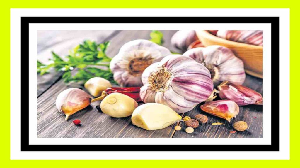 Garlic has many health benefits, including preventing colds and coughs in winter!
