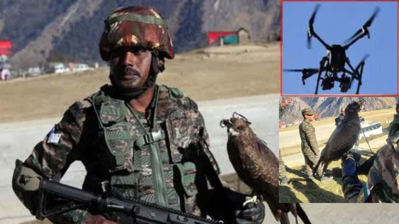 Indian Army Trained eagles : ఇండియన్ ఆర్మీ ‘గరుడాస్త్రం’.. శత్రుదేశం డ్రోన్లను కూల్చే సత్తా గద్దలకు ఉందా? Indian Army Trained eagles : ఇండియన్ ఆర్మీ ‘గరుడాస్త్రం’.. శత్రుదేశం డ్రోన్లను కూల్చే సత్తా గద్దలకు ఉందా?