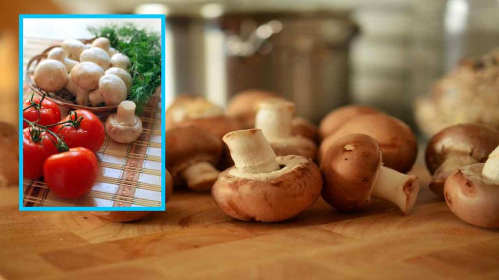 Is it good to eat mushrooms frequently to avoid protein deficiency?